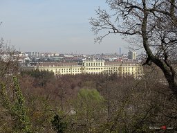 Tiergarten Schönbrunn am 23.03.2023
